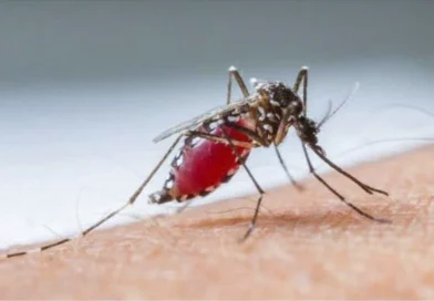 malaria, minsa, nicaragua, influenza, dengue, neumonia, epidemiologia,