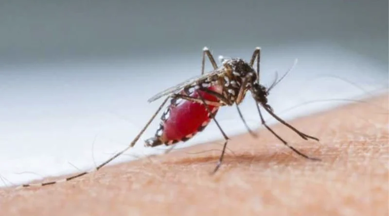malaria, minsa, nicaragua, influenza, dengue, neumonia, epidemiologia,