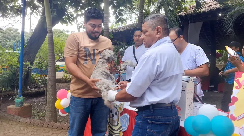 nicaragua, jornada de vacunacion, vacuna, ticuantepe, perros, canino.