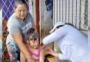 minsa, campaña, gobierno de nicaragua, fiebre amarilla, jornada de vacunacion,