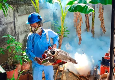 minsa, nicaragua, jornada de fumigacion, abatizacion, managua,