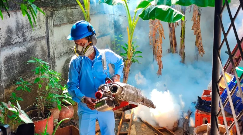 minsa, nicaragua, jornada de fumigacion, abatizacion, managua,