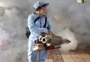 minsa, abatizacion, fumigacion,