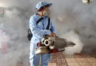 minsa, abatizacion, fumigacion,