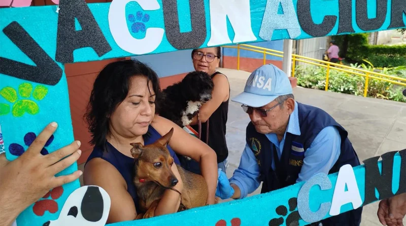 minsa, nicaragua, vacunacion antirrabia, canina, campaña,