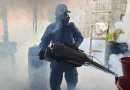 minsa, Nicaragua, gobierno de Nicaragua, salud, fumigación, control de vectores