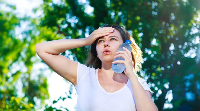 ola de calor, altas temperaturas, España, muertes, periodo estival, calor, calor intenso,