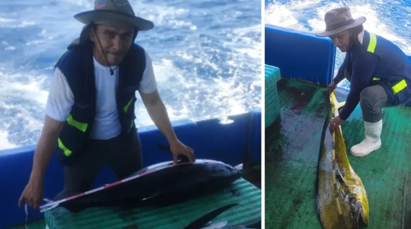 INPESCA, monitoreo biologico, monitoreo de escamas, pacifico, pesca nicaragüense,