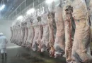 Nicaragua, exportaciones, China, primer contenedor, inicia exportaciones, carne bovina, San Martín,