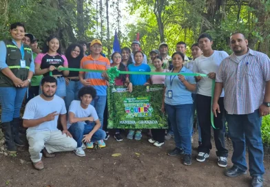 nicaragua, viveros, cuido del medio ambiente, marena, verde que te quiero verde,