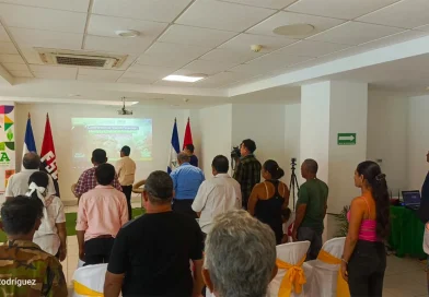inta, nicaragua, productores, parasitos, ganado bovino, capacitacion,