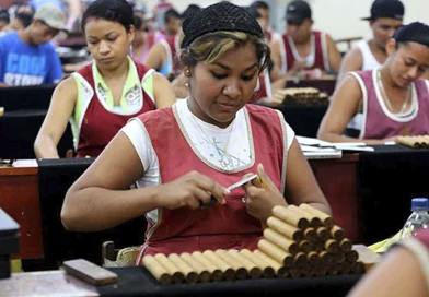 tabaco, nicaragua, produccion,