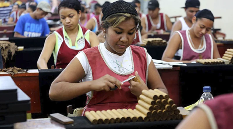 tabaco, nicaragua, produccion,