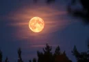 eclipse, luna de sangre, eclipse lunar, septiembre, ver, cuando, donde, 7 de septiembre, noche,