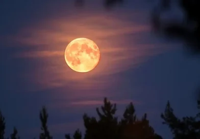 eclipse, luna de sangre, eclipse lunar, septiembre, ver, cuando, donde, 7 de septiembre, noche,