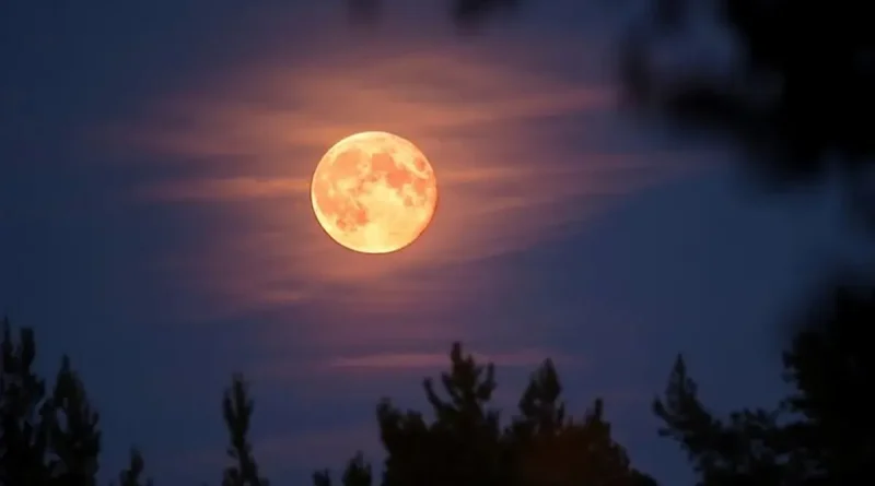 eclipse, luna de sangre, eclipse lunar, septiembre, ver, cuando, donde, 7 de septiembre, noche,