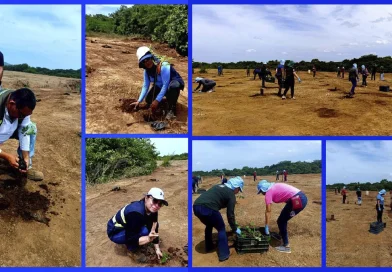 marena, leon, tipitapa, reforestacion, nicaragua, mined, inafor, movimiento ambientalista,