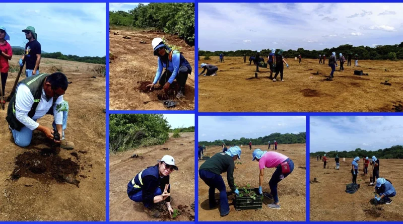 marena, leon, tipitapa, reforestacion, nicaragua, mined, inafor, movimiento ambientalista,