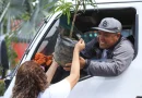 alcaldia de managua, entrega de plantas, todos san jacinto,