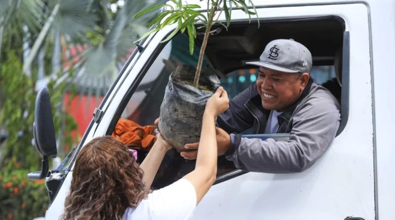 alcaldia de managua, entrega de plantas, todos san jacinto,