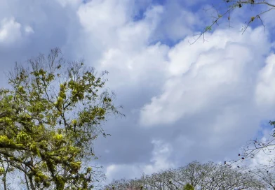 ineter, altas temperaturas, ambiente caluroso, vientos fuertes, 26 de septiembre de 2025, regiones de nicaragua, lluvias dispersas, nicaragua