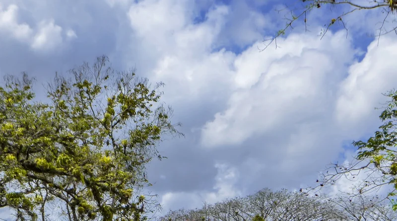 ineter, altas temperaturas, ambiente caluroso, vientos fuertes, 26 de septiembre de 2025, regiones de nicaragua, lluvias dispersas, nicaragua