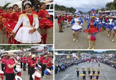 Sina, bandas rítmicas, Fiestas patrias,