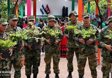 vivero forestal, Río San Juan, El Almendro, Ejército de Nicaragua, MARENA,