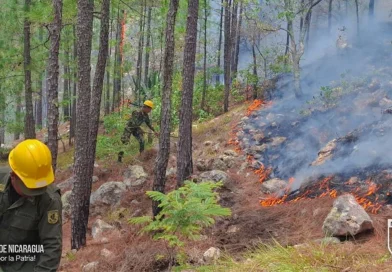 esteli, ejercito de nicaragua, incendio forestal,