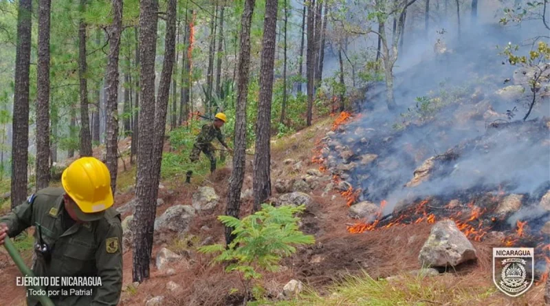 esteli, ejercito de nicaragua, incendio forestal,