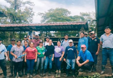 inta, inseminación artificial bovina, nicaragua, el rama, costa caribe sur