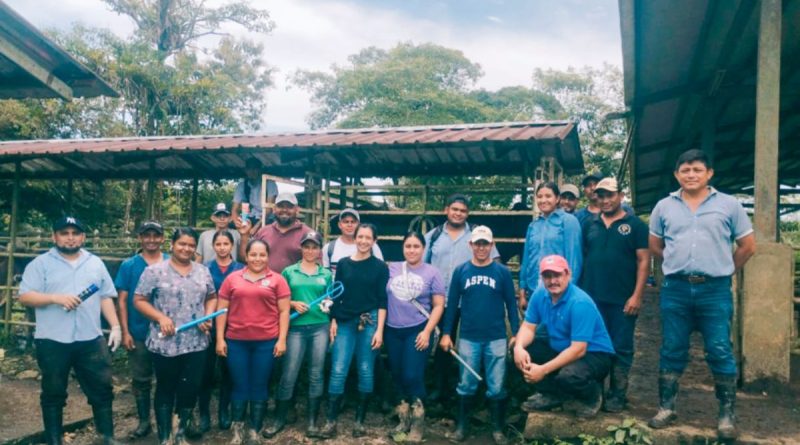 inta, inseminación artificial bovina, nicaragua, el rama, costa caribe sur