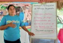 inda, inta, prouccionm, yuca, nicaragüa, gobierno de nicaragua,