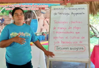 inda, inta, prouccionm, yuca, nicaragüa, gobierno de nicaragua,