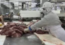 carne bovina, nicaragua, ministerio agropecuario,