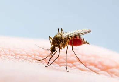 nicaragua, dengue, neumonía, influenza, minsa