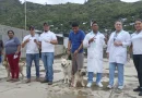 minsa, vacunacion canina, antirrabia, gobierno de nicaragua, campaña,