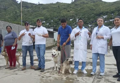 minsa, vacunacion canina, antirrabia, gobierno de nicaragua, campaña,