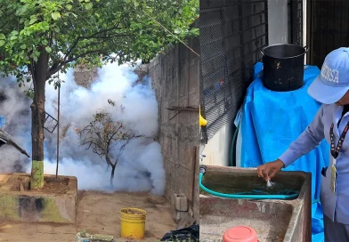 minsa, fumigacion, abatizacion, managua, lucha antiepidemica, nicaragua,