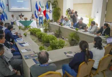 nicaragua, primer encuentro, sanidad bovina