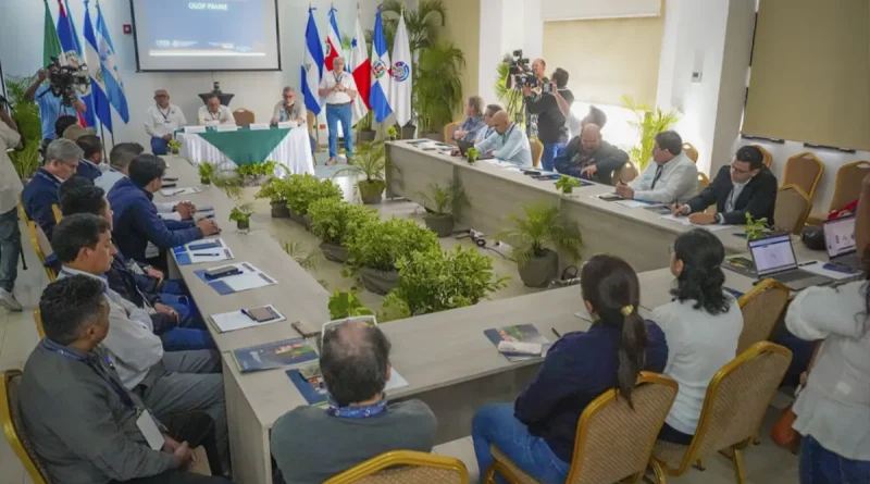 nicaragua, primer encuentro, sanidad bovina