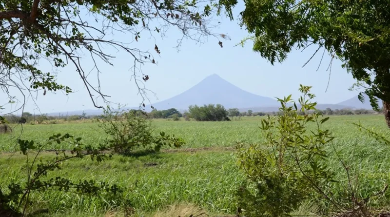 ineter, clima, nicaragua, 13 de septiembre de 2025, altas temperaturas, posibilidad de lluvias, regiones de nicaragua