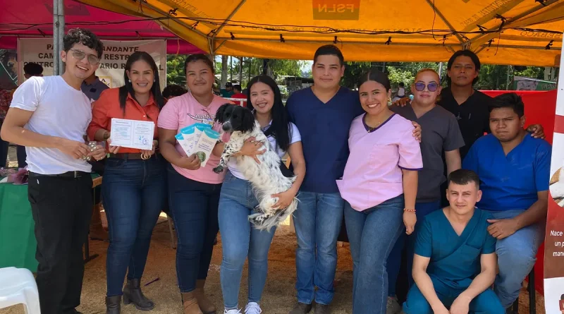 nicaragua, Matagalpa, creatividad, ganado