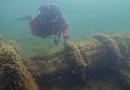 descubren, naufragio, de 138 años, casualidad, encuentra por accidente, barco perdido,