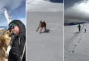 nicaragua, rusia, conquista montaña, perro Europa.