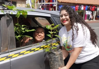 nicaragua, fiestas patrias, marena, arboles,