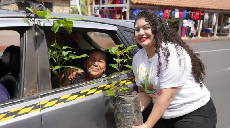nicaragua, fiestas patrias, marena, arboles,