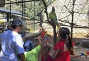 nicaragua, zoologico nacional, fauna, familias, fin de semana,