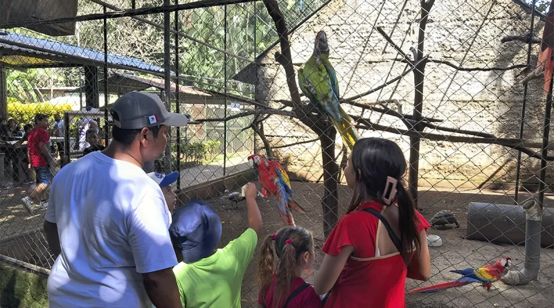 nicaragua, zoologico nacional, fauna, familias, fin de semana,