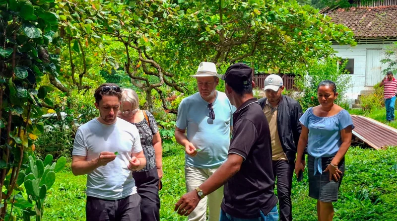 nicaragua, isla de ometepe, rivas, rusia, artistas, cultura,
